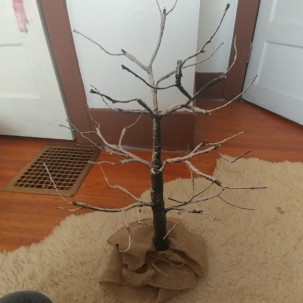 Tree🌲